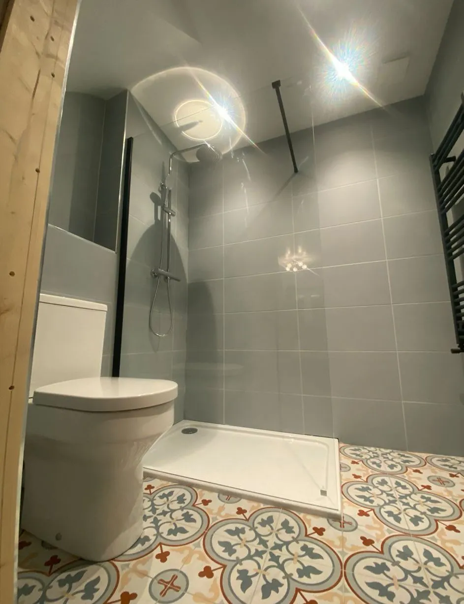 Walk-in shower with a low-profile tray and glass panel, next to a close-coupled WC on patterned floor tiles
